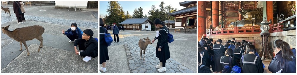 東大寺５