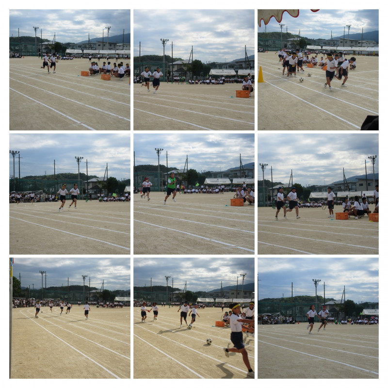 IMG_1229-COLLAGE