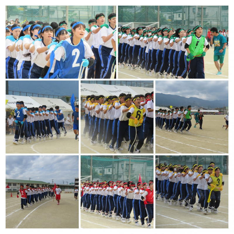 IMG_1531-COLLAGE