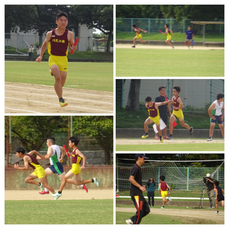 1FF96D29-40AC-4EB6-8EEA-7B74656D2D0F-COLLAGE