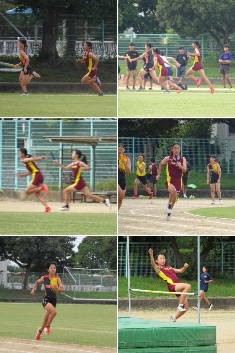 99495803-21B7-4D54-AC7D-141116E7172C-COLLAGE