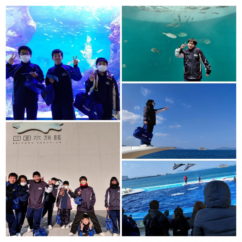 20260202_110952-COLLAGE