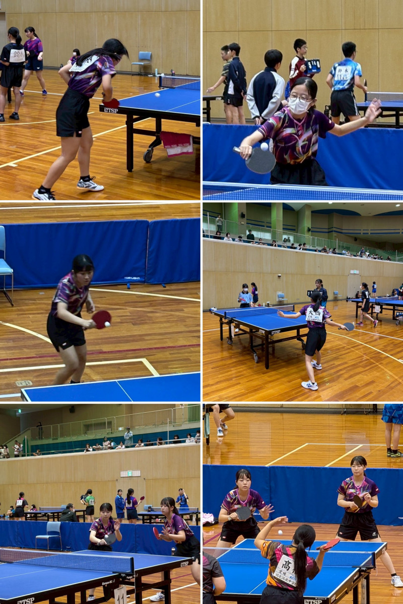 10AEE202-0887-40FA-B528-659B99D54722-COLLAGE