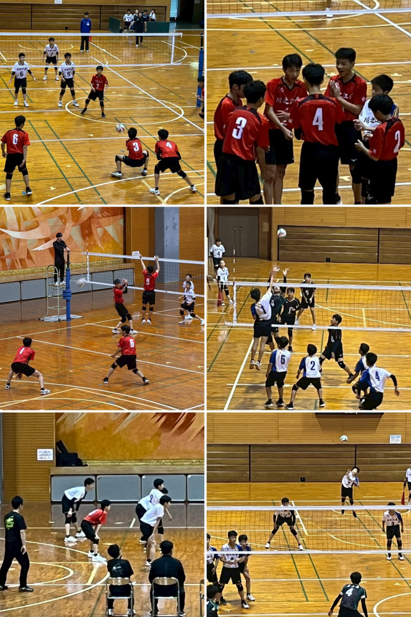 17400FEB-66DB-43AA-9AC3-3E255D1ACE99-COLLAGE