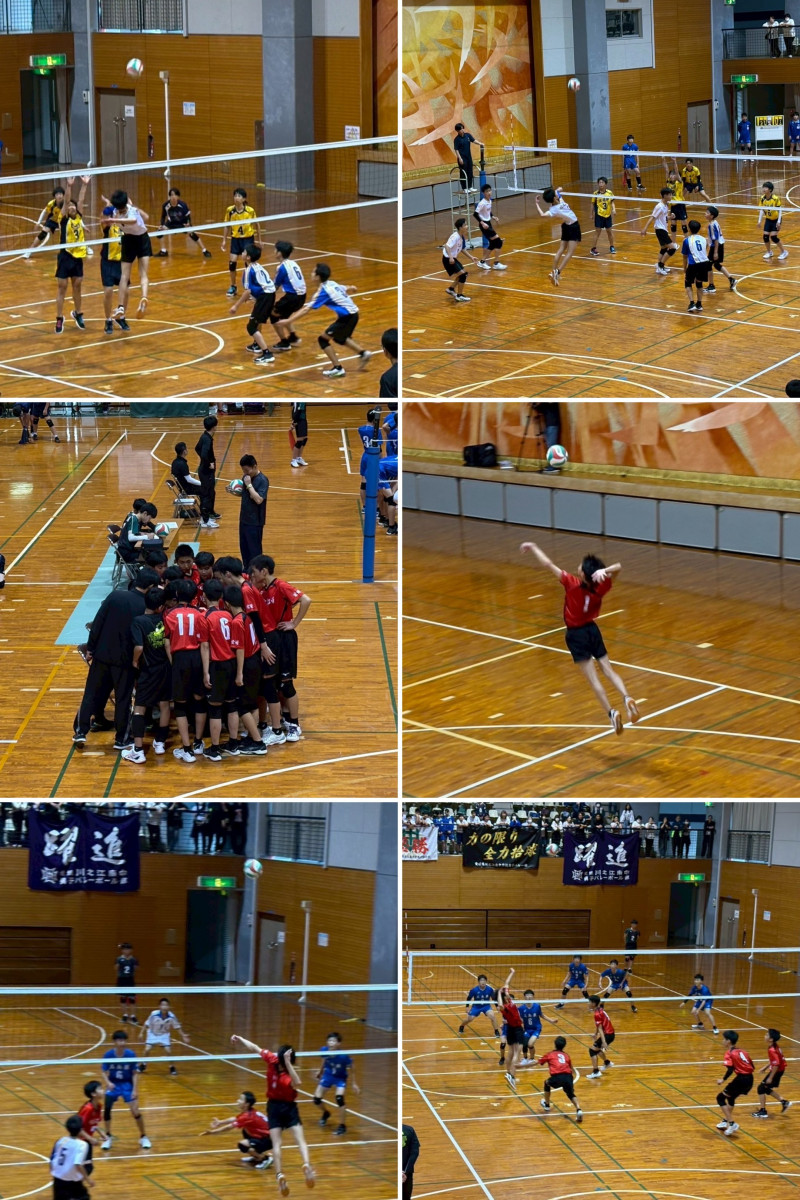 DD5418F5-3558-46C5-9796-5628DE815941-COLLAGE