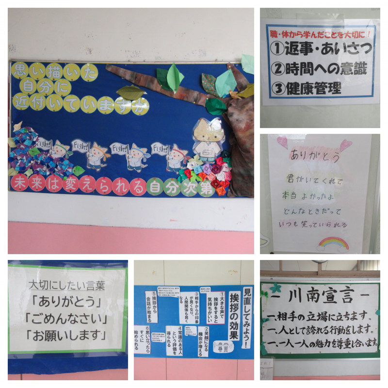 F4D96ED3-DFCC-4451-84AF-805312660EE5-COLLAGE
