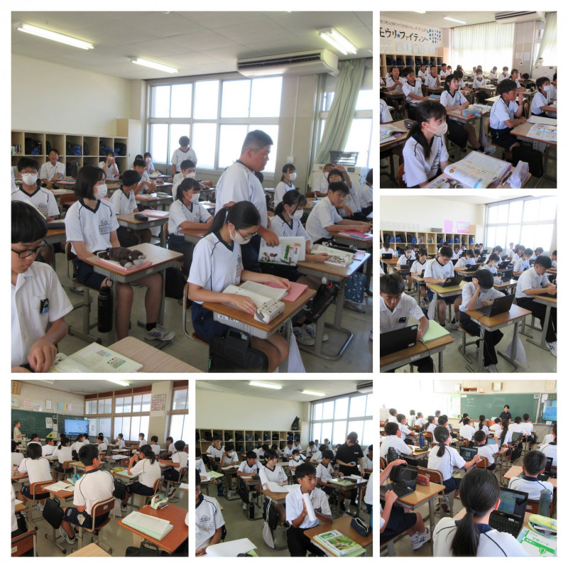 IMG_0591-COLLAGE