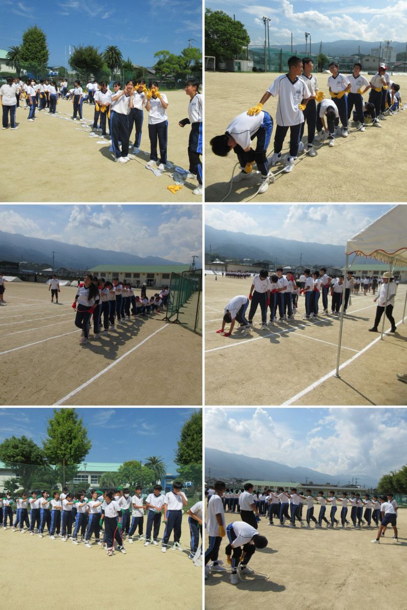 3574755E-E634-41AD-83D5-ADEC6AAE1EB0-COLLAGE