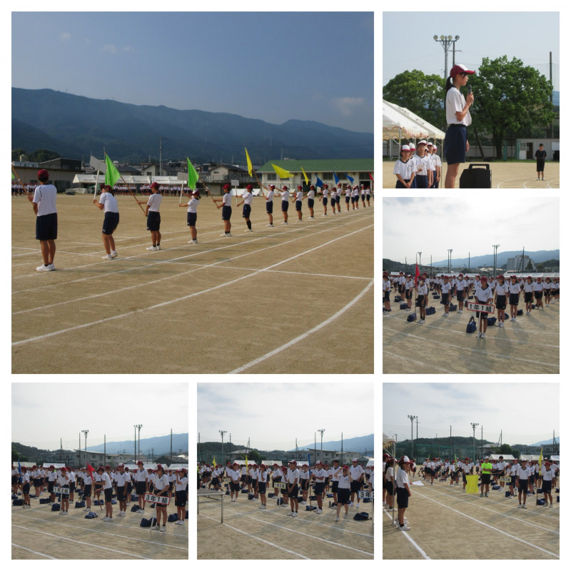 4F4412B0-AC85-4146-9B73-A5AD43150218-COLLAGE