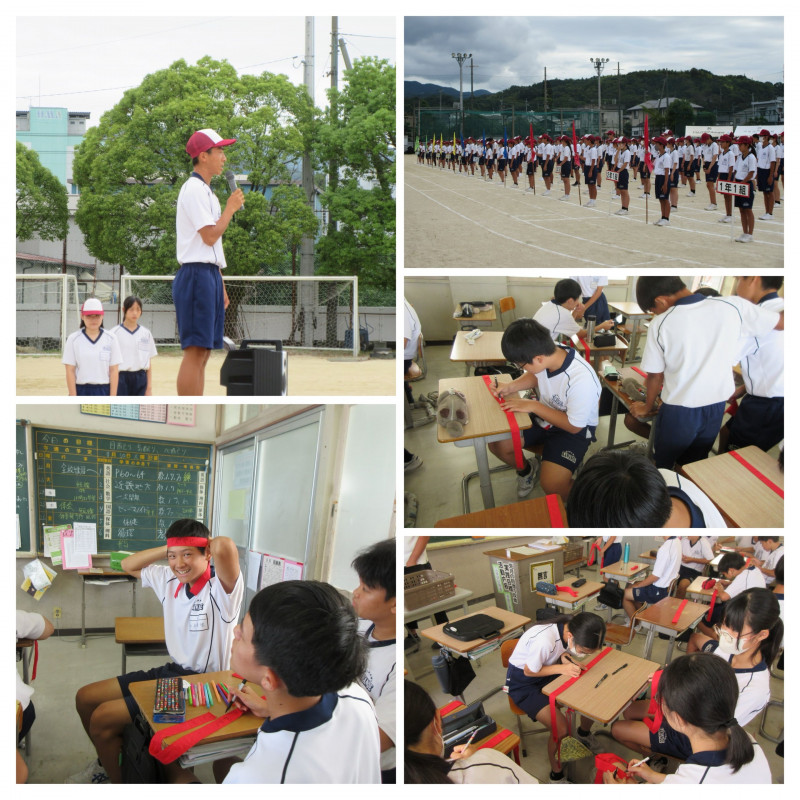 57C0C45F-D82A-4DF2-89C7-6D4D7CF34E16-COLLAGE