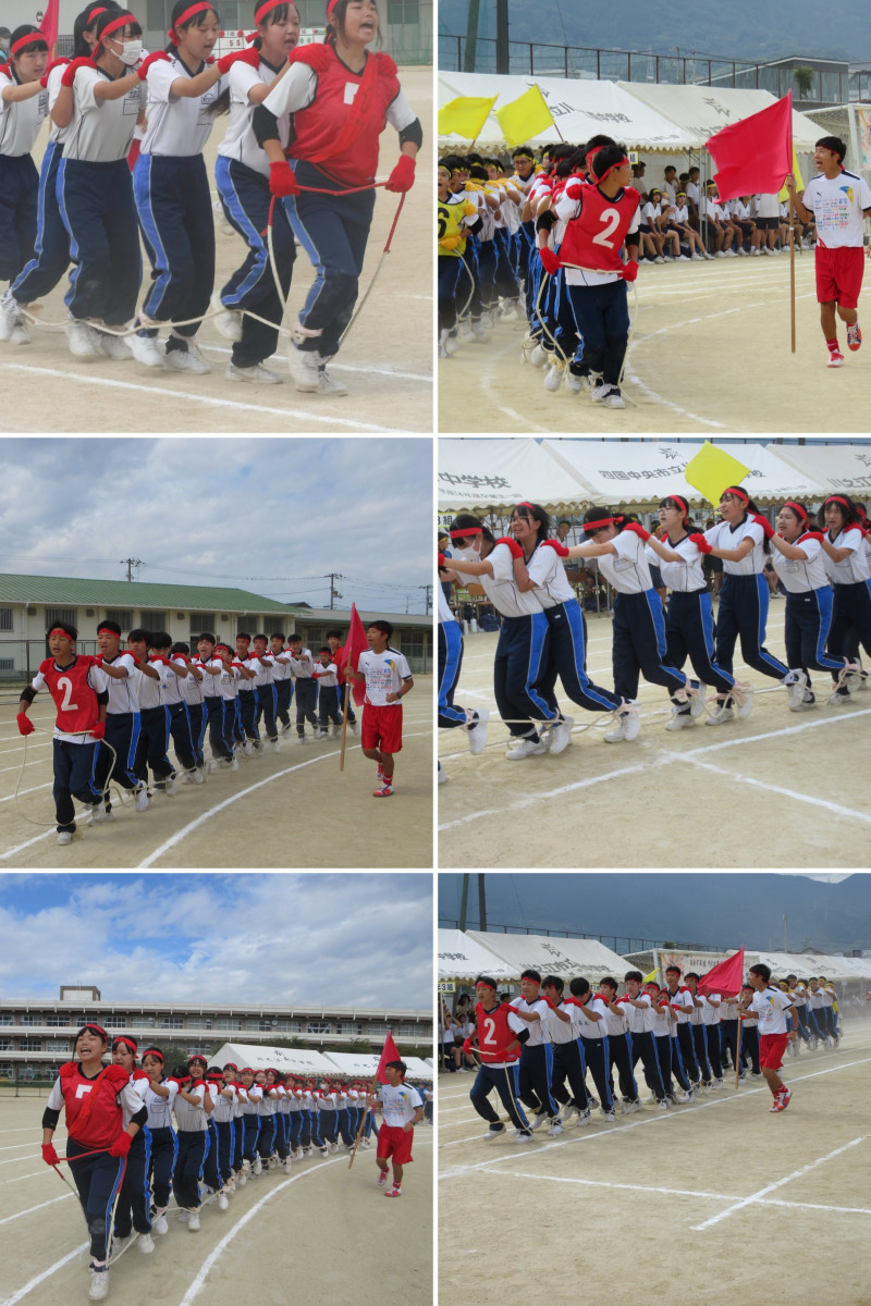 47416B94-28E6-4A69-B52F-53FFC15B7E97-COLLAGE