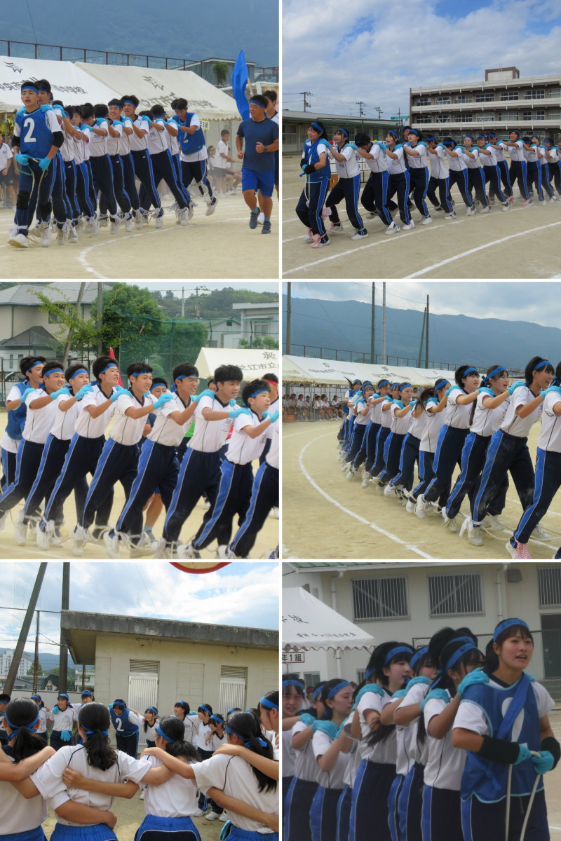 33B445E0-8103-442B-BBDD-8501D9EAF424-COLLAGE
