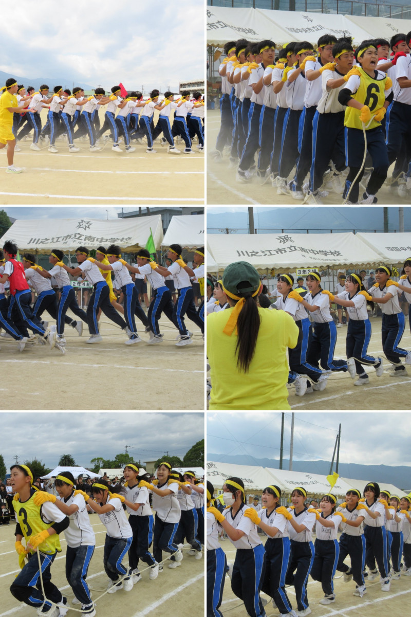 245CD5F3-1B13-4B07-88E3-AABBFD285D95-COLLAGE