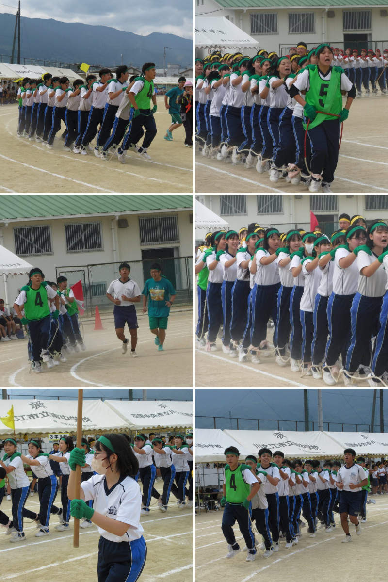 BCB4101D-5E69-4892-917E-9B53D6915D50-COLLAGE