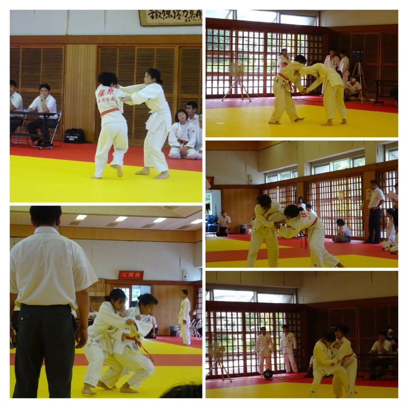 DSC02411-COLLAGE