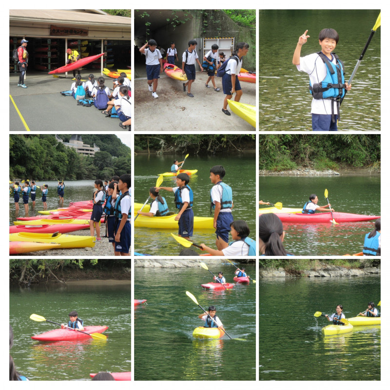 IMG_2006-COLLAGE