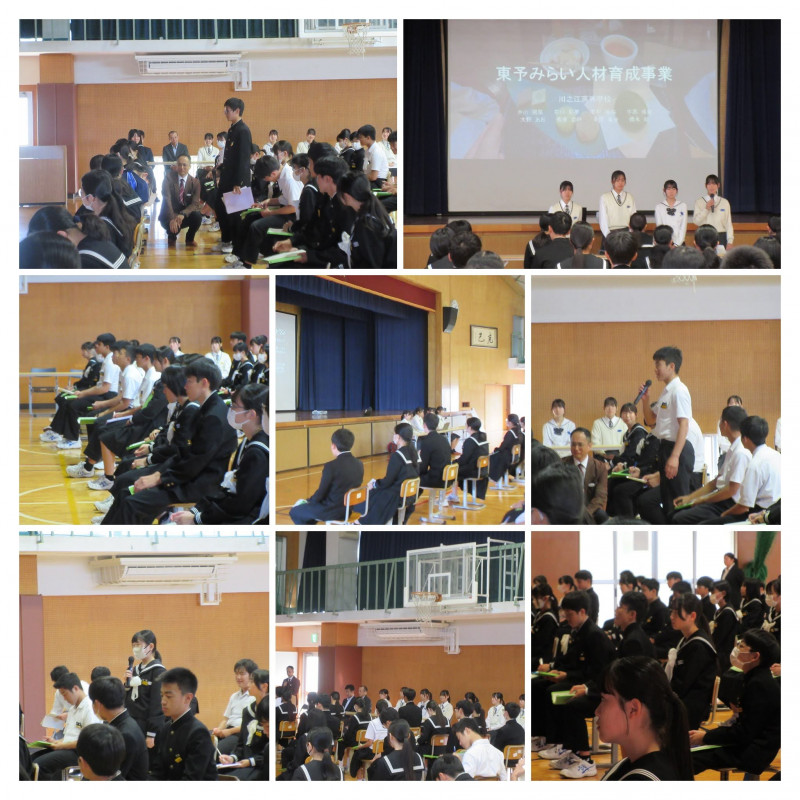 IMG_2090-COLLAGE