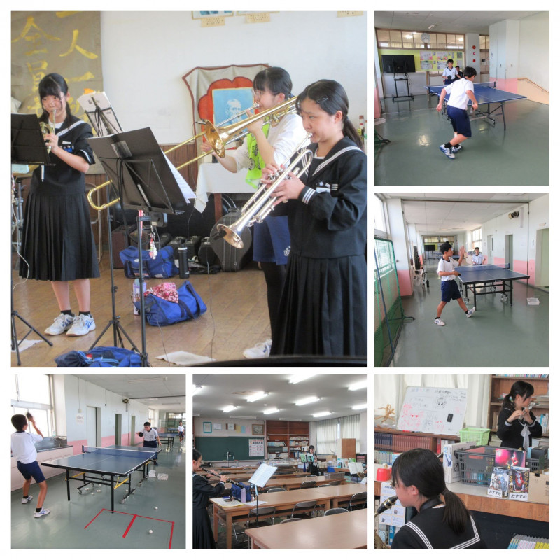 IMG_2138-COLLAGE