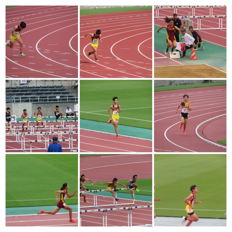 IMG_3633-COLLAGE