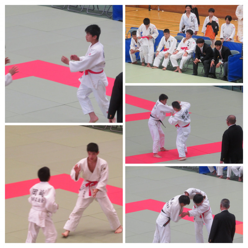 59F4565B-DFEE-41D9-9335-6697A6279639-COLLAGE