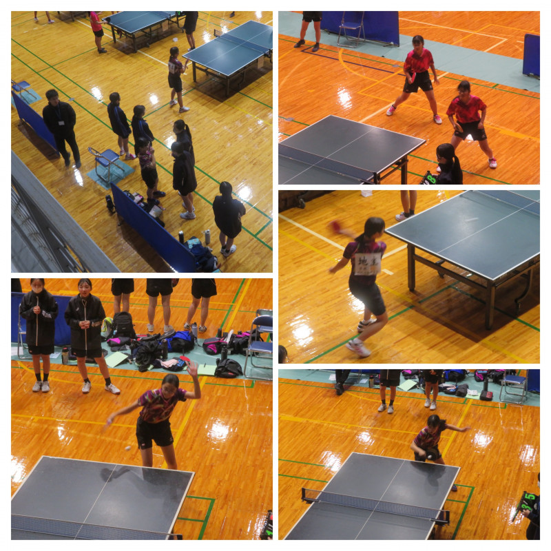 3CB855A1-8685-4AC4-9B63-88EB8CF21C48-COLLAGE