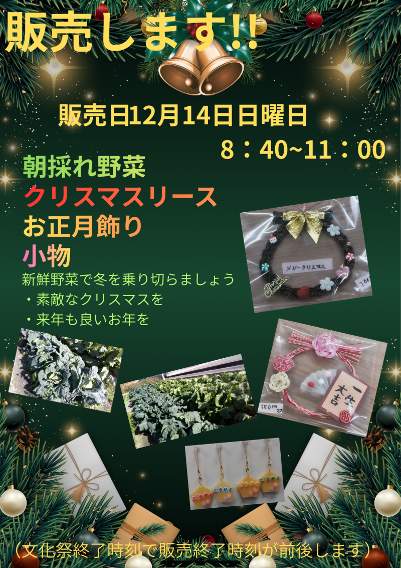 Red and Green Modern Christmas Background Poster (1)